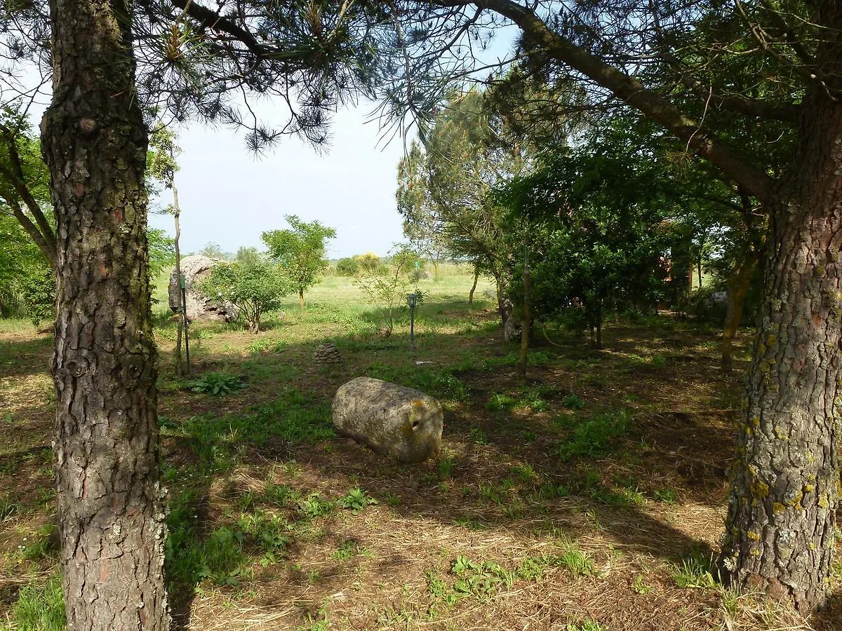 Agriturismo Nuragh'Elighe Sindia