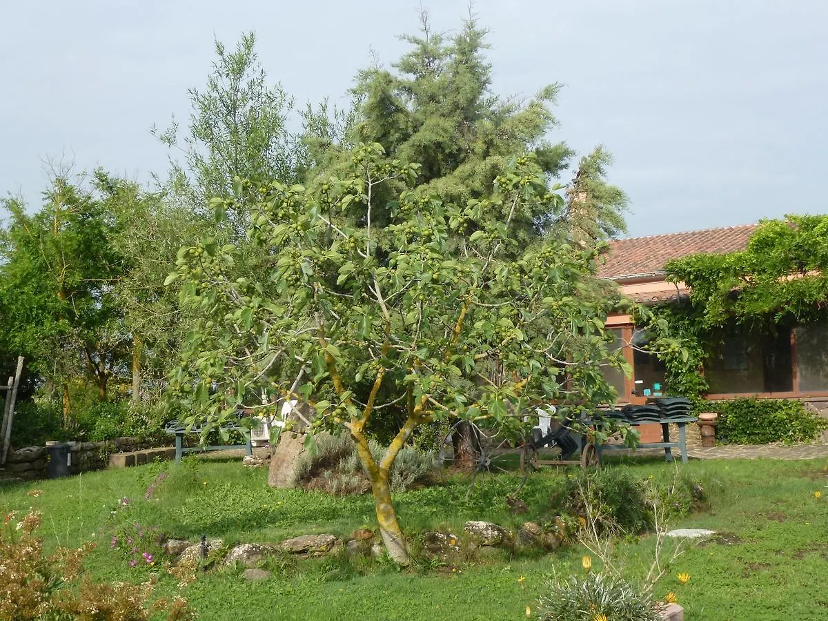 Agriturismo Nuragh'Elighe Sindia 0*,  Italia