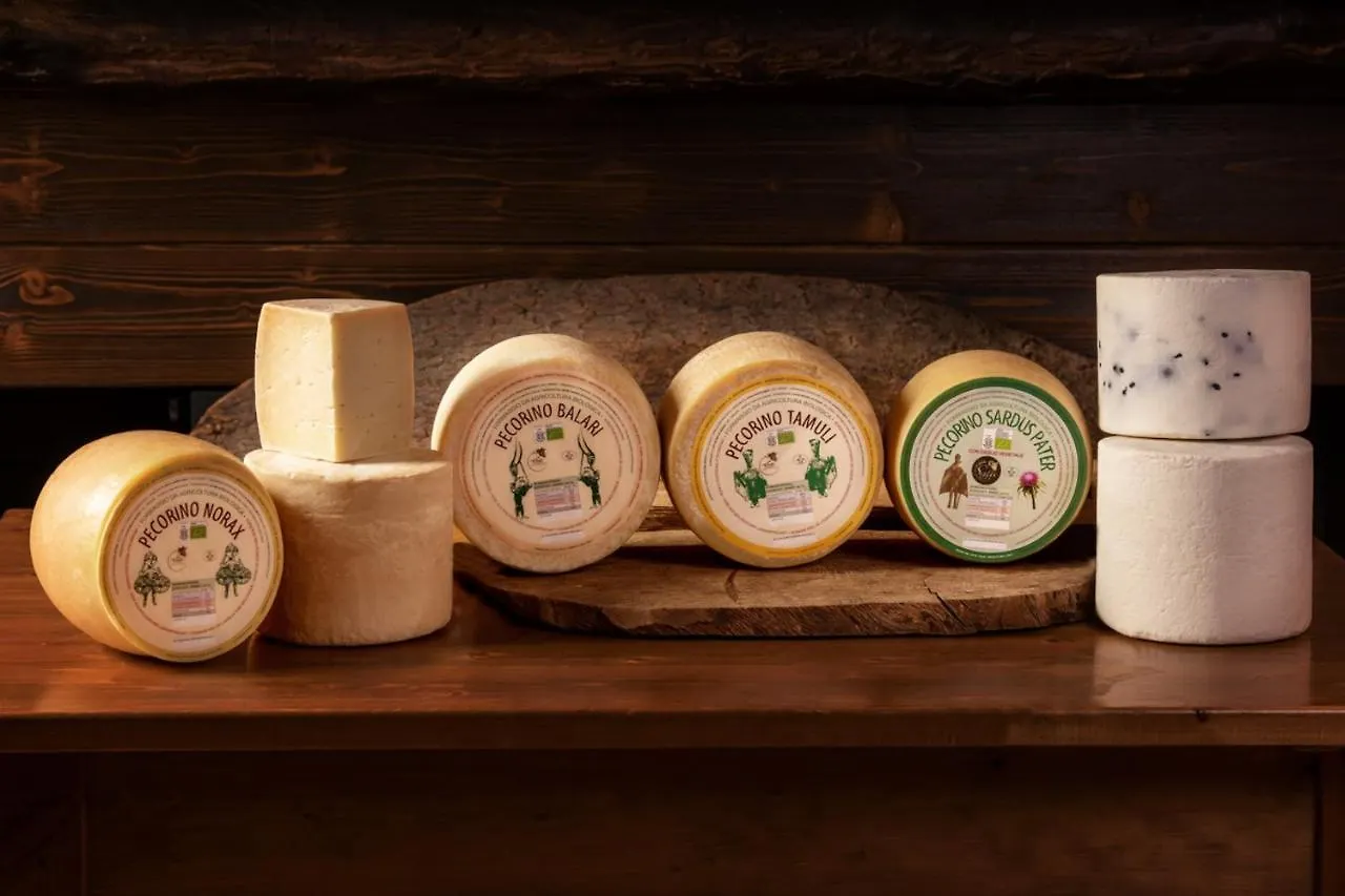 Agriturismo Nuragh'Elighe Sindia Farm stay