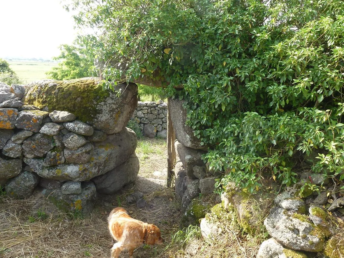 Agriturismo Nuragh'Elighe Sindia